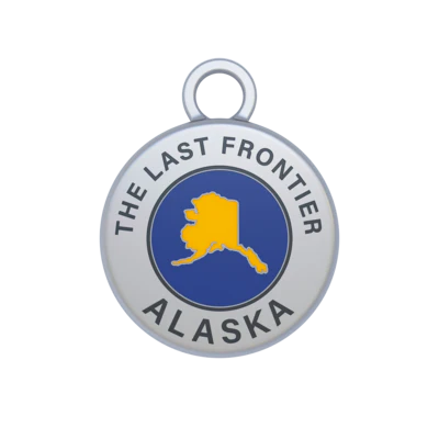 US State Tokens - Image 14